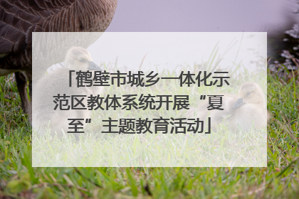 鹤壁市城乡一体化示范区教体系统开展“夏至”主题教育活动